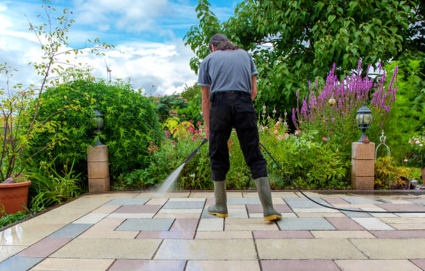 Best Driveway Pressure Washing  in Ellwood City, PA